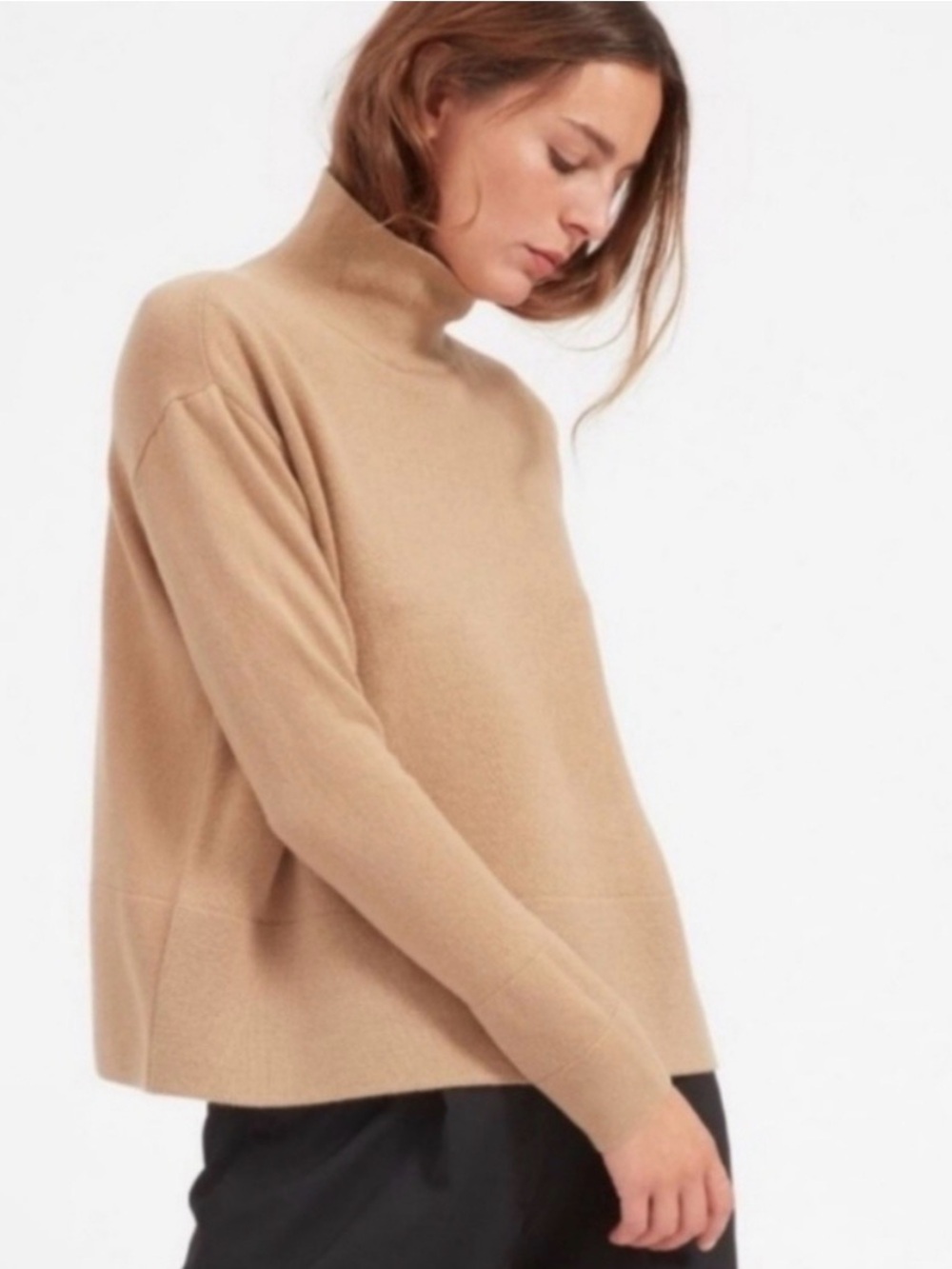 Everlane 100% Cashmere Mockneck Sweater Size S